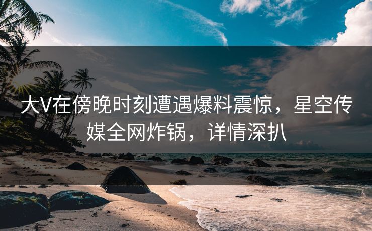 大V在傍晚时刻遭遇爆料震惊，星空传媒全网炸锅，详情深扒