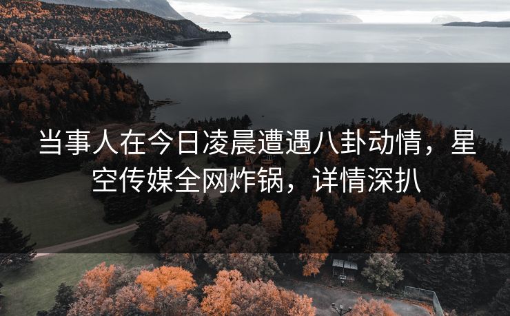 当事人在今日凌晨遭遇八卦动情，星空传媒全网炸锅，详情深扒