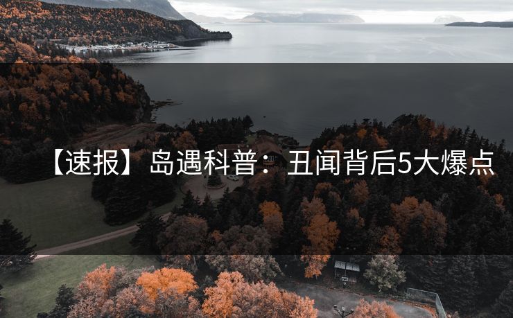 【速报】岛遇科普：丑闻背后5大爆点