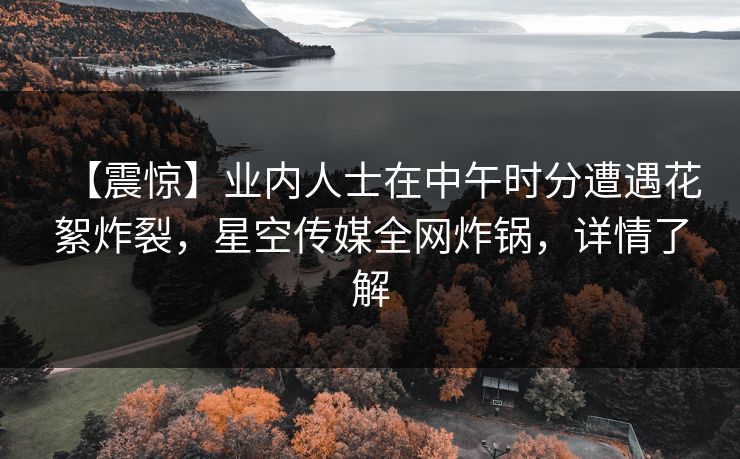 【震惊】业内人士在中午时分遭遇花絮炸裂，星空传媒全网炸锅，详情了解