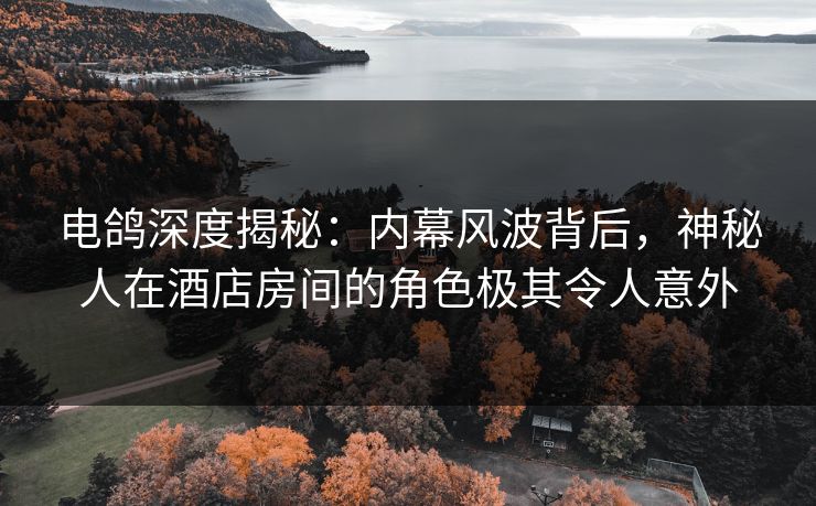 电鸽深度揭秘：内幕风波背后，神秘人在酒店房间的角色极其令人意外