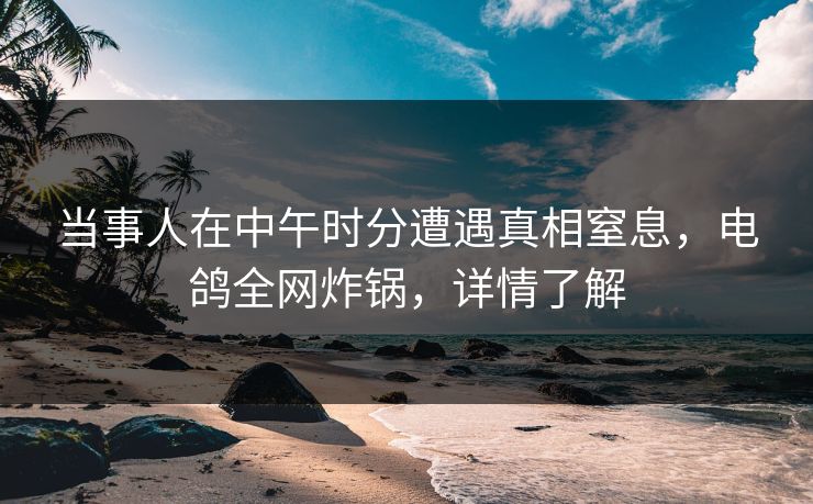 当事人在中午时分遭遇真相窒息，电鸽全网炸锅，详情了解