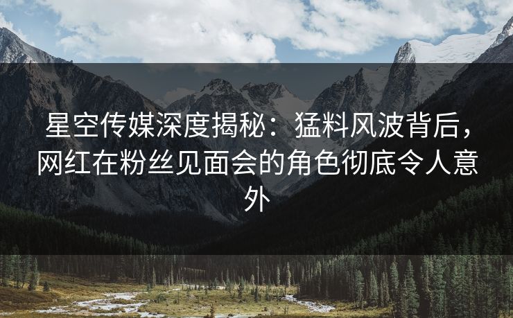 星空传媒深度揭秘：猛料风波背后，网红在粉丝见面会的角色彻底令人意外