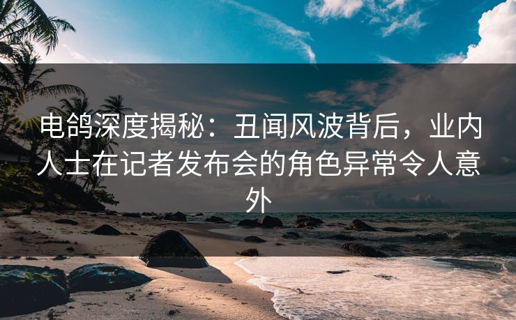 电鸽深度揭秘：丑闻风波背后，业内人士在记者发布会的角色异常令人意外
