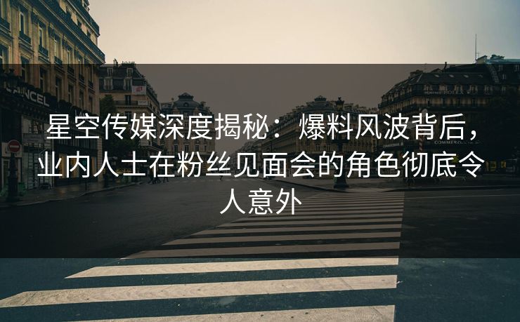 星空传媒深度揭秘：爆料风波背后，业内人士在粉丝见面会的角色彻底令人意外