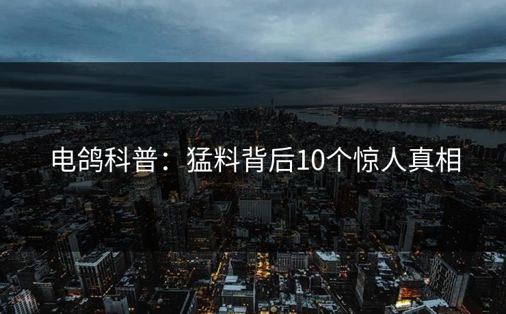 电鸽科普：猛料背后10个惊人真相