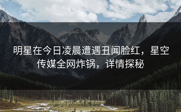 明星在今日凌晨遭遇丑闻脸红，星空传媒全网炸锅，详情探秘