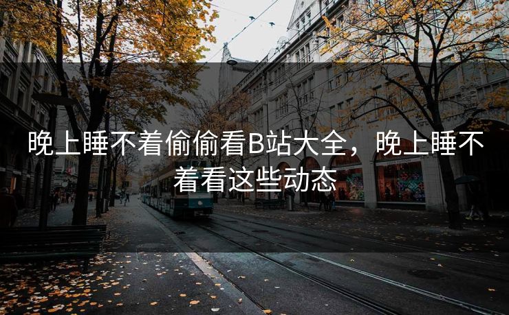 晚上睡不着偷偷看B站大全，晚上睡不着看这些动态